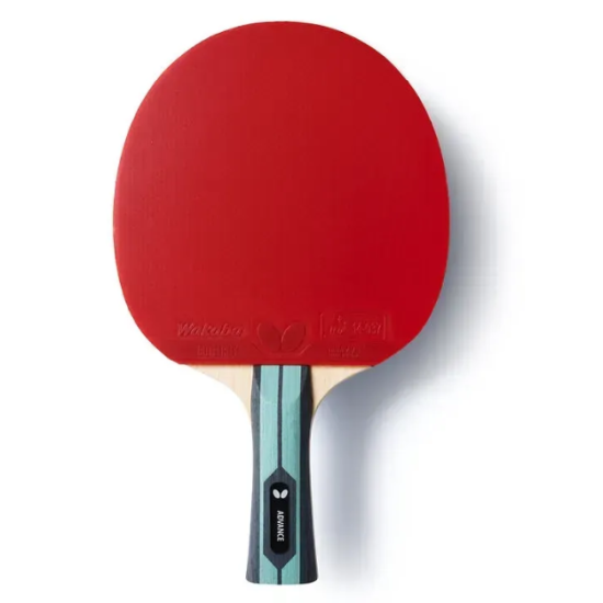 Купить ракетка для настольного тенниса Team Butterfly Advance FL (6256900002) в Киеве - фото №1 Купить Ракетка для настольного тенниса Team Butterfly Advance FL (6256900002) в Киеве - фото №1